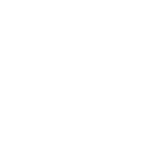 Eye Icon Eye Icon