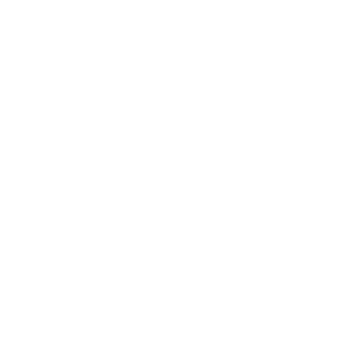 Sacculectomy Icon Sacculectomy Icon