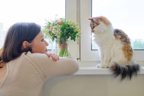 female-owner-watching-tricolor-cat-sitting-on-window-sill