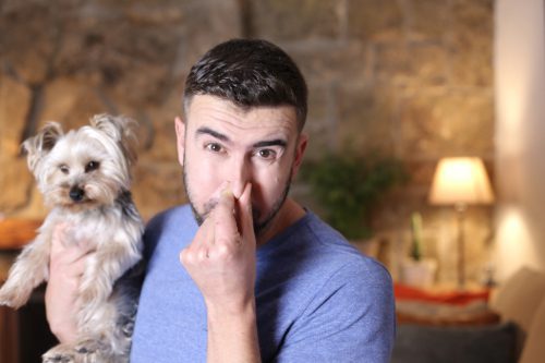 male-dog-owner-holding-smelly-dog-in-one-hand-and-plugging-his-nose-with-the-other