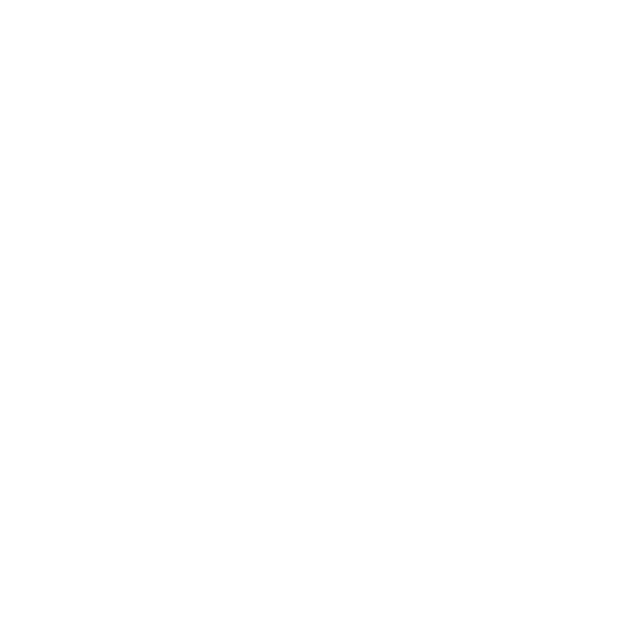 Play Hard Icon