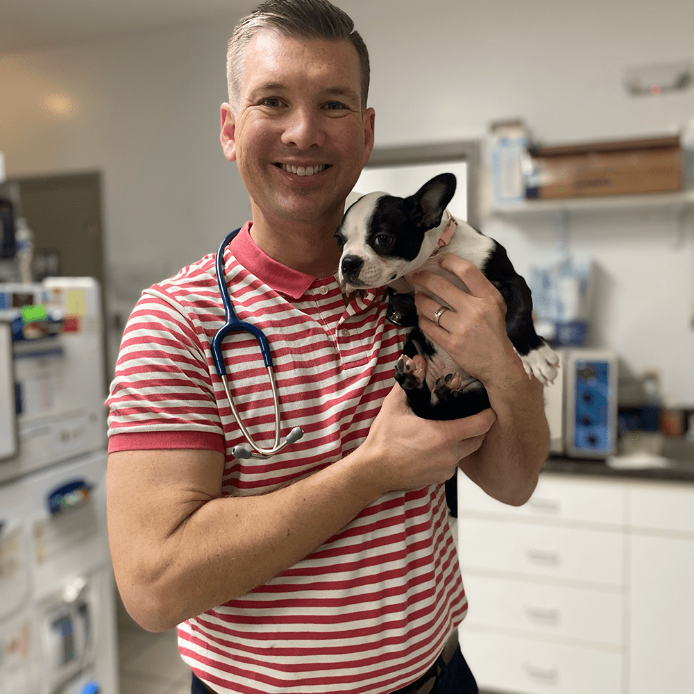 Doc Holding Boston Doc Holding Boston