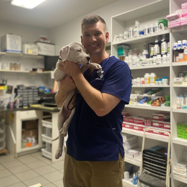 Dr Knox Holding White Puppy