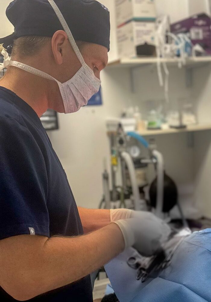 Dr Knox In Surgery Dr Knox In Surgery On Cat