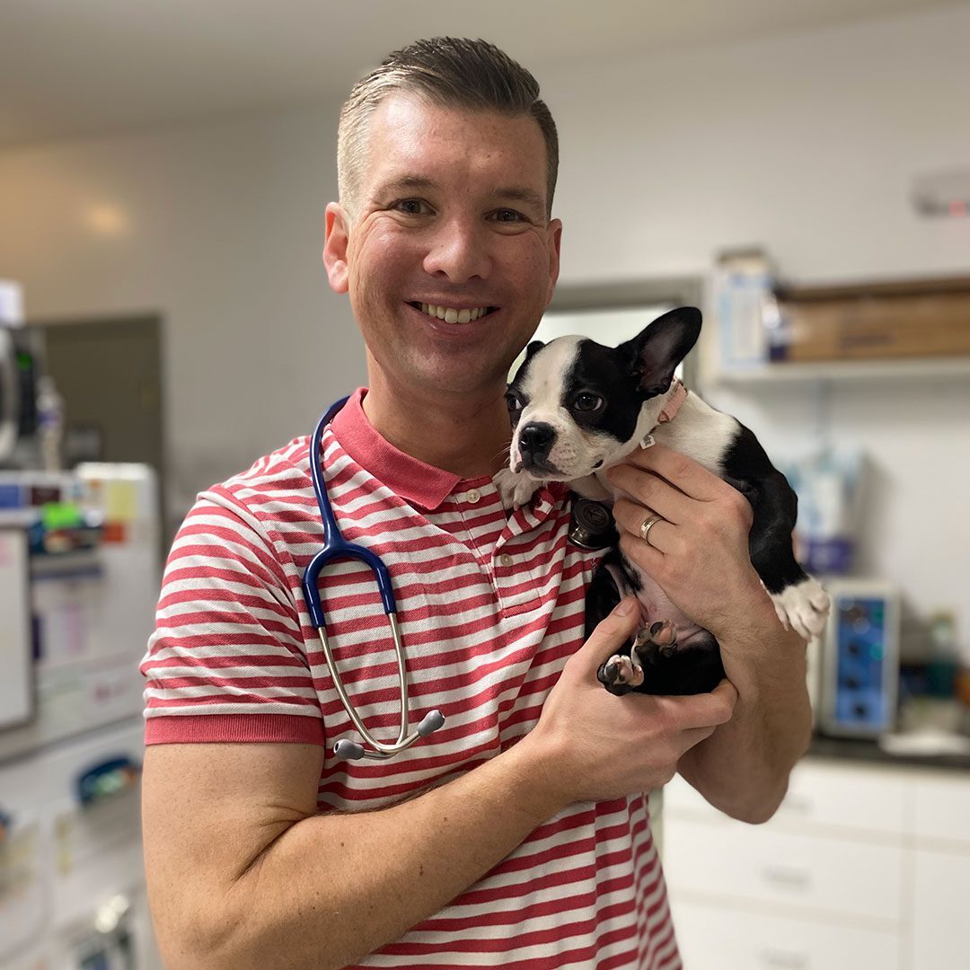 Dr. Knox holding boston terrior